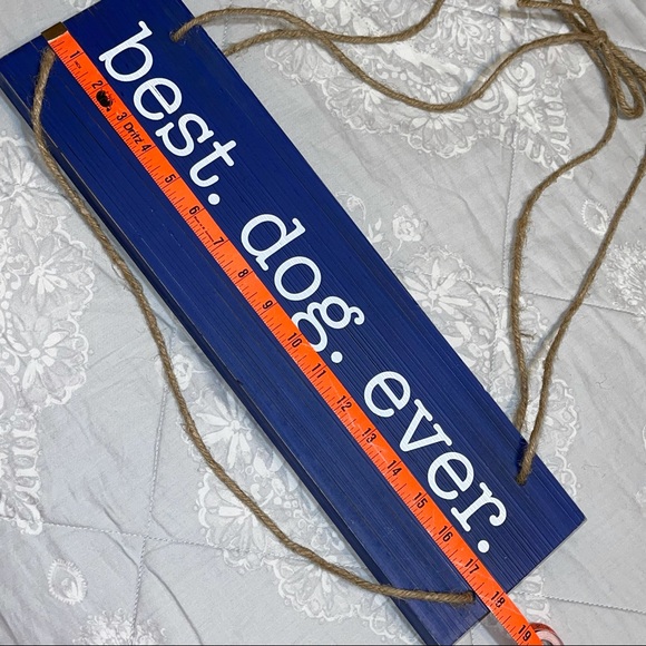 🌵BEST DOG EVER !! 🐶 - Picture 6 of 8